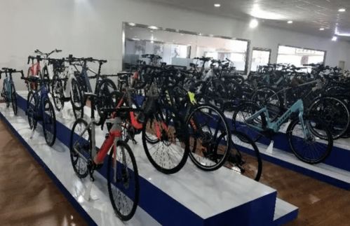 碳纖維車架的自行車海外訂單激增,市場向好